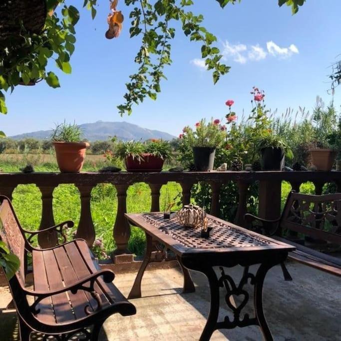 Earthly Paradise Appartement