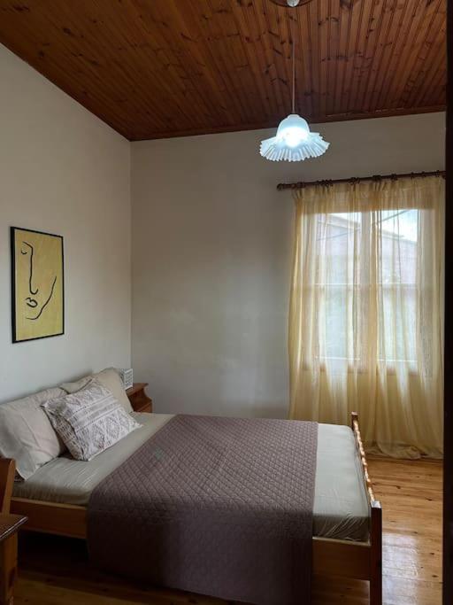 Earthly Paradise Apartment