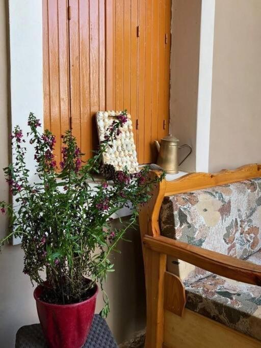 Apartment Earthly Paradise
